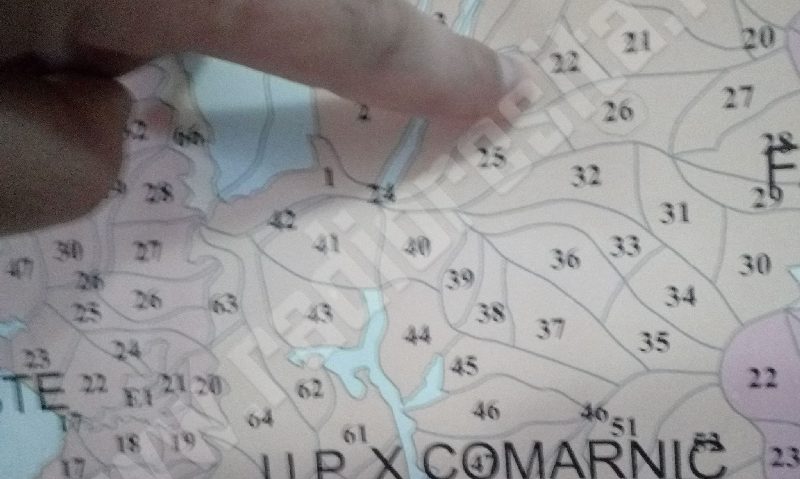 Exploatările de masă lemnoasă, sămânţă de gâlceavă între un ONG de mediu şi RNP Romsilva Exploatările de masă lemnoasă, sămânţă de gâlceavă între un ONG de mediu şi RNP Romsilva