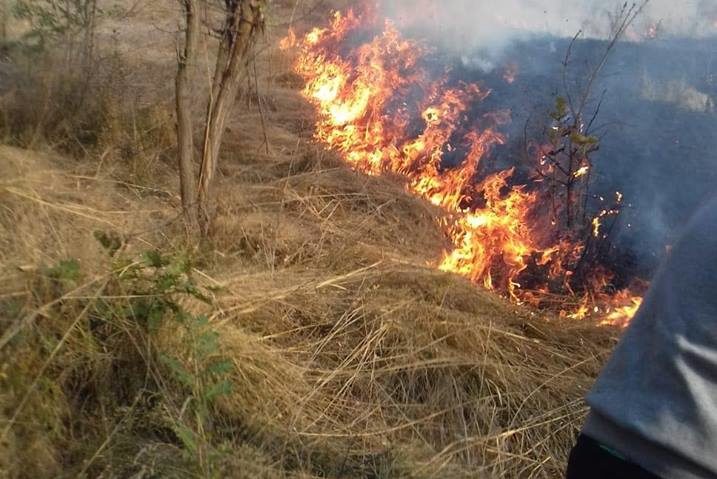 Incendiu de vegetaţie la Plugova Incendiu de vegetaţie la Plugova