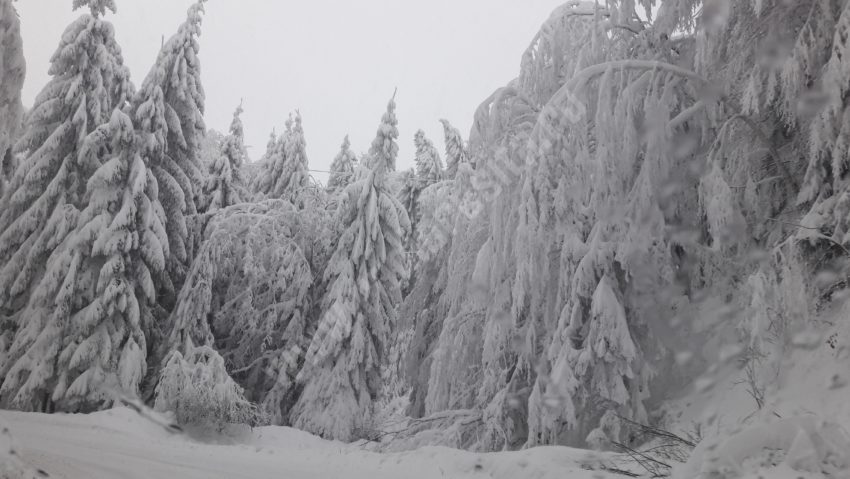 Drumul Județean 582E Prislop – Semenic, închis circulației rutiere Drumul Județean 582E Prislop – Semenic, închis circulației rutiere