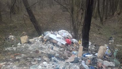 Berzovia reduce la zero costurile suplimentare pentru deșeuri colectate