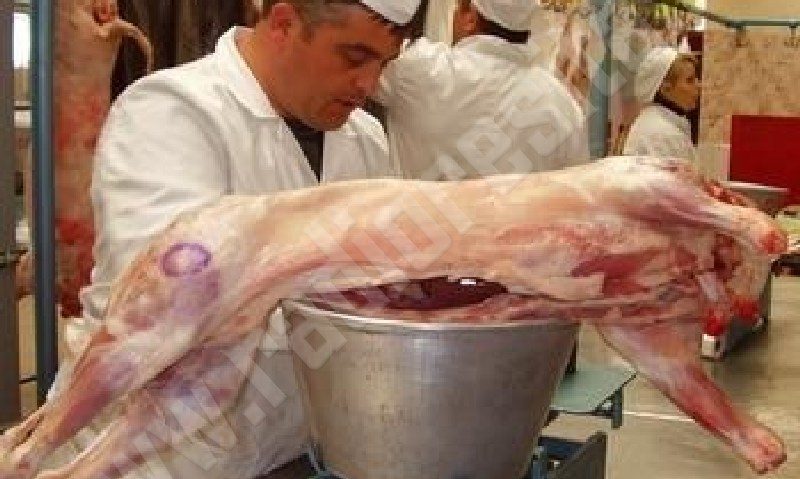 Carnea de miel ştampilată, bună de consum Carnea de miel ştampilată, bună de consum