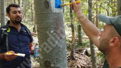 [AUDIO] Marcajele de pe traseele turistice din Parcul Naţional Semenic-Cheile Caraşului, refăcute de rangeri