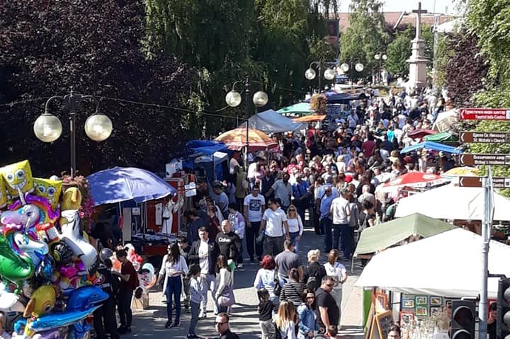 „Balul Strugurilor” – „Coroana” festivalurilor pe care Vârşeţul le organizează „Balul Strugurilor” – „Coroana” festivalurilor pe care Vârşeţul le organizează
