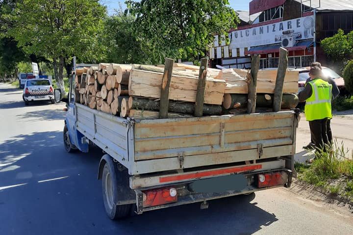 Vehiculele utilizate pentru comiterea de infracţiuni silvice ar putea fi confiscate Vehiculele utilizate pentru comiterea de infracţiuni silvice ar putea fi confiscate