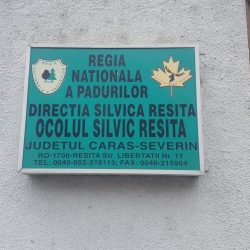[AUDIO] Tăieri ilegale, sancţionate la Ocolul Silvic Reşiţa