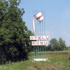 Dezbateri electorale – 08.09.2020 – Otelu Rosu