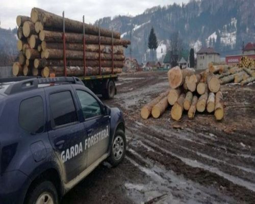 [AUDIO] Garda Forestieră Caraş-Severin îndeamnă proprietarii de păduri să le dea în administrare şi pază