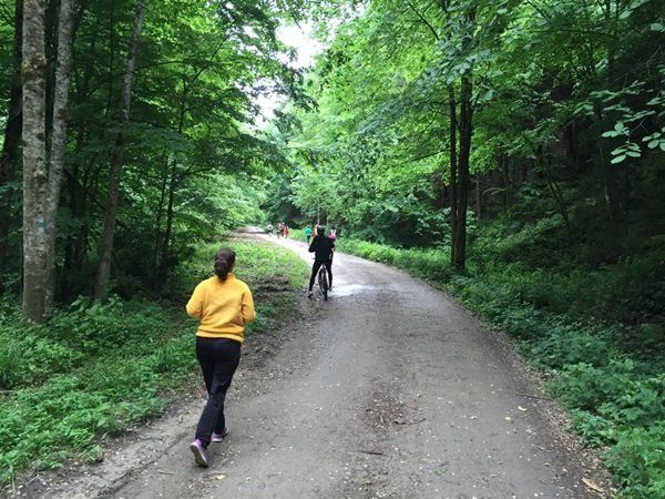 [AUDIO] Pădurea Verde, de la Primărie la Romsilva