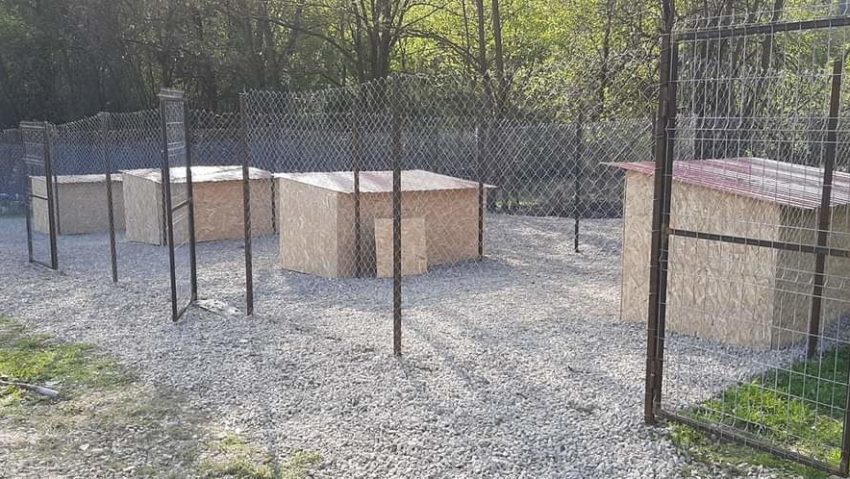 Asociaţia Dogs Center Reşiţa construieşte un nou adăpost pentru animalele fără stăpân Asociaţia Dogs Center Reşiţa construieşte un nou adăpost pentru animalele fără stăpân