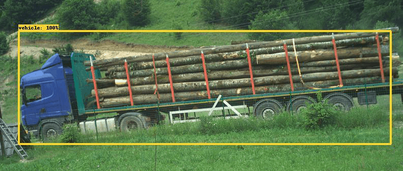 [AUDIO]Exploatarea şi trasabilitatea materialului lemnos din pădurile cărăşene, monitorizate, zi şi noapte, de Consiliul Judeţean