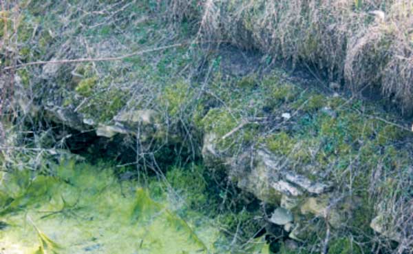 [AUDIO] Castrul Roman Arcidava de la Vărădia – o descoperire istorică inedită atât pentru Banat, cât şi pentru întreaga Românie