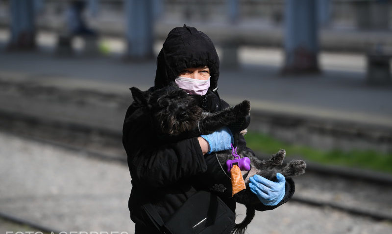 ICCJ: obligativitatea purtării măştii în exterior este legală ICCJ: obligativitatea purtării măştii în exterior este legală