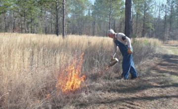 [AUDIO] APIA Caraş-Severin: Fermierul este responsabil de suprafaţa de teren agricol incendiată chiar şi dacă NU i-a dat el foc
