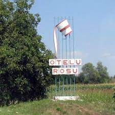 [AUDIO] Luca Mălăiescu: „Bugetul de anul acesta este unul echilibrat”