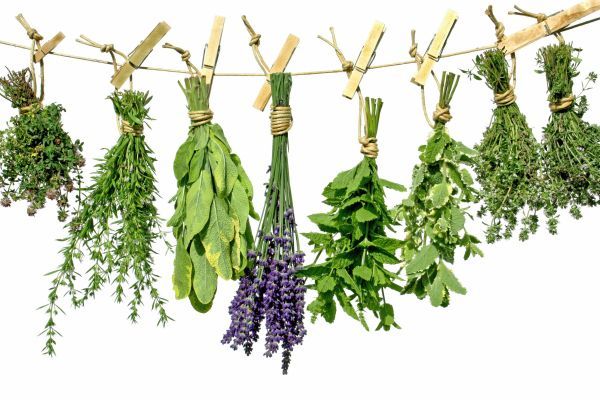 [AUDIO] Subvenţii de minimis pentru cultivatorii cărăşeni de plante aromatice