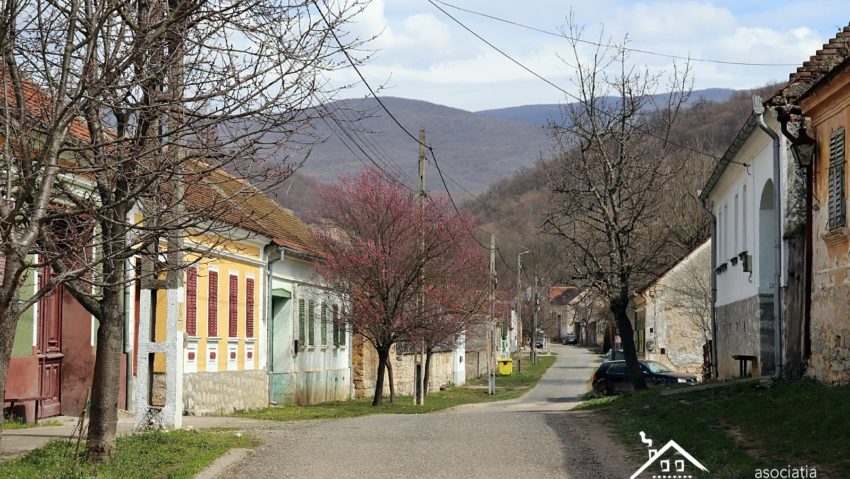 Asociația „Acasă în Banat” a dat startul înscrierilor pentru voluntari la „Color the Village” – Ilidia 2021 Asociația „Acasă în Banat” a dat startul înscrierilor pentru voluntari la „Color the Village” – Ilidia 2021