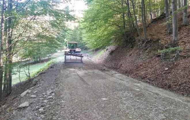 [AUDIO]WWF România reabilitează anual, din fonduri proprii, drumul forestier spre Măgura Zimbrilor deşi nu este al lor