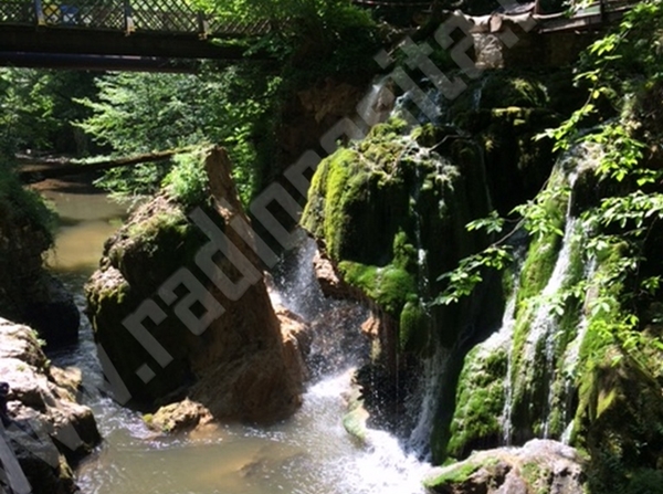 [AUDIO-FOTO-VIDEO] Micul comerţ de la Cascada Bigăr în pericol de faliment