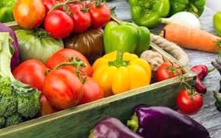 Fermierii cărăşeni pot depune cereri pentru programul de susținere a producției de ardei, castraveţi, tomate şi vinete în spații protejate - Vimarsana News