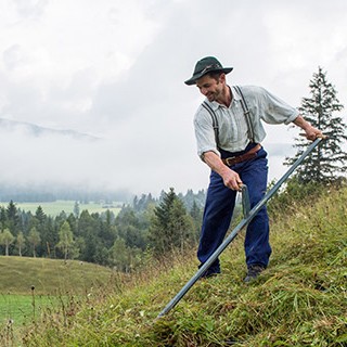 [AUDIO] Fermieri montani pregătiţi la Şcoala profesională agricolă din Cornereva