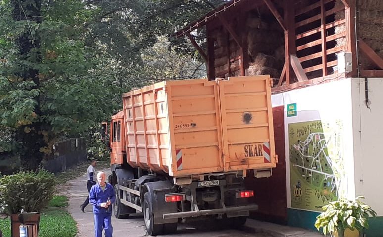 [AUDIO]Aprovizionarea pentru anotimpul rece este în toi, la Grădina Zoologică din Reşiţa