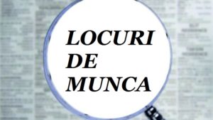 Locuri de muncă vacante în Caraș-Severin: peste 80 de posturi disponibile la AJOFM