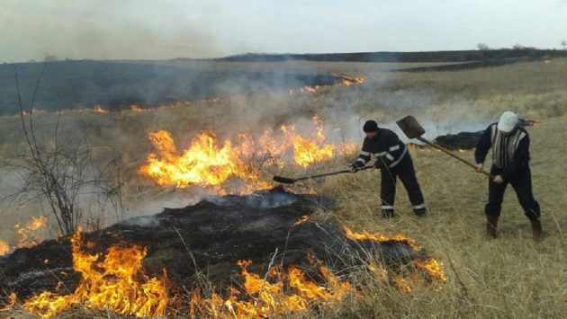 Peste 400 de incendii de vegetație au mistuit aproape 4 mii de hectare de teren din Caraș-Severin
