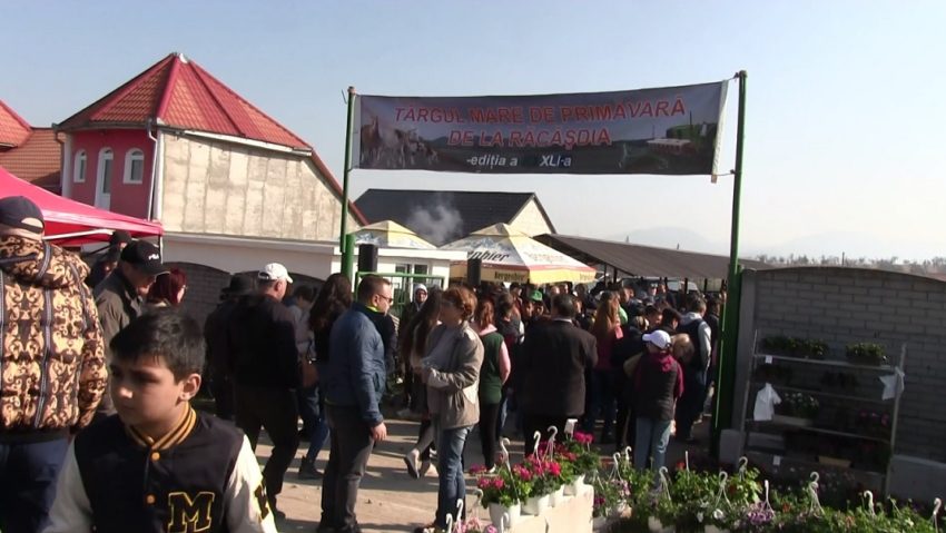 Locaţia Târgului mare de la Răcăşdia va fi extinsă spre bucuria producătorilor Locaţia Târgului mare de la Răcăşdia va fi extinsă spre bucuria producătorilor