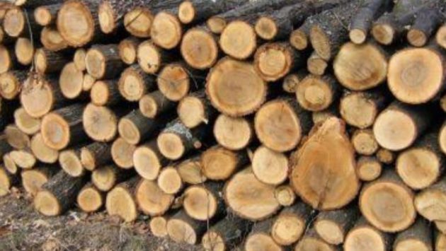 Peste 9.000 de metri cubi de lemn de foc, disponibili pentru populația din Caraș-Severin