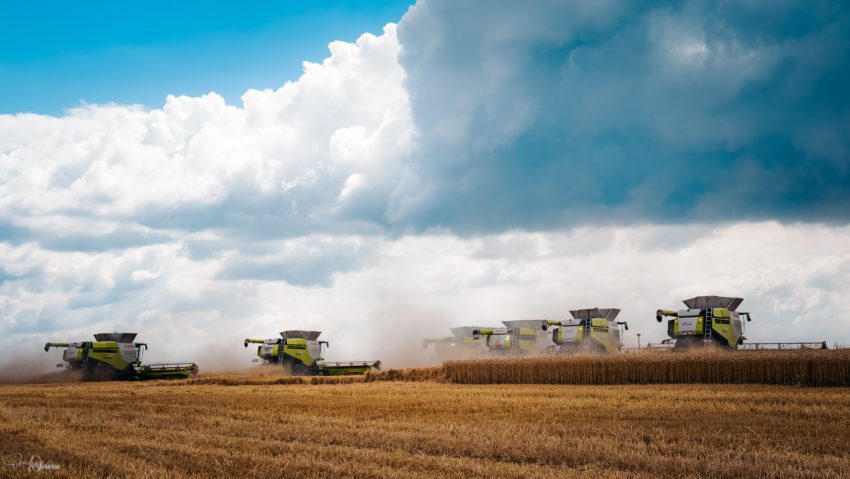 Maxagro – 30 de ani de succes Maxagro – 30 de ani de succes