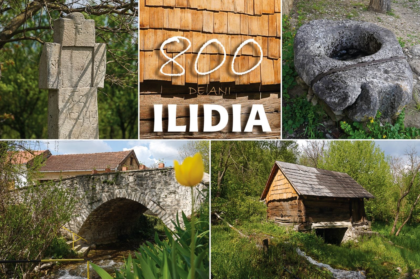 Ilidia - 800 de ani de la atestarea documentară a localităţii, marcaţi ...