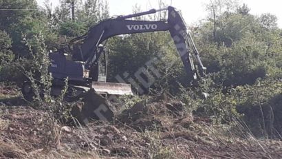 Cimitirul animalelor prinde contur la Reşiţa