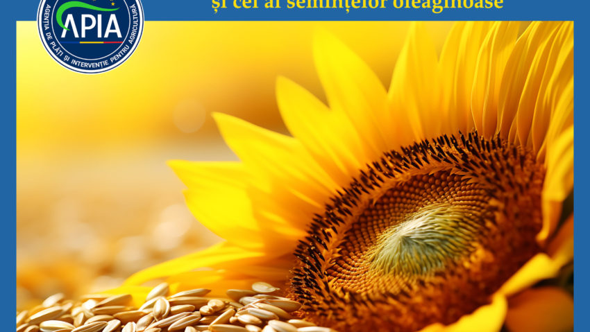 Ajutor de urgenţă pentru agricultorii din sectorul cerealier şi al seminţelor oleaginoase Ajutor de urgenţă pentru agricultorii din sectorul cerealier şi al seminţelor oleaginoase