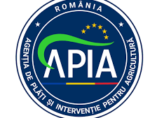 APIA: Apicultorii pot depune cereri de plată pentru sprijinul financiar aferent anului 2026