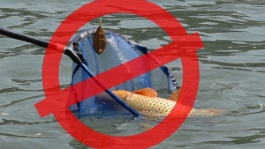 Atenţie, pescari: 1 Februarie închide pescuitul la ştiucă! Atenţie, pescari: 1 Februarie închide pescuitul la ştiucă!
