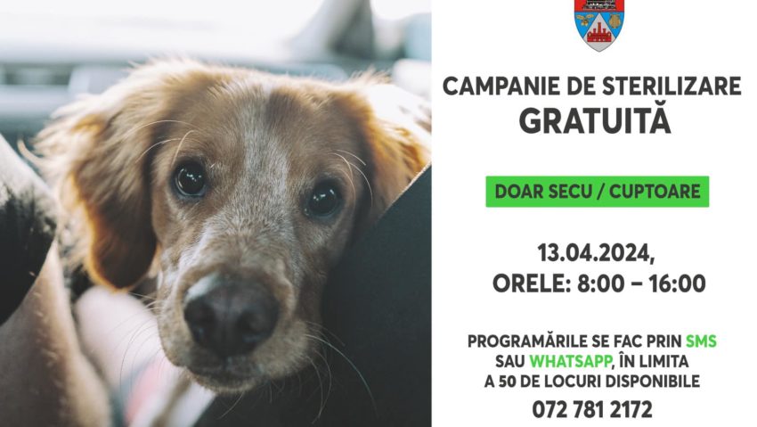 Campanie de sterilizare gratuită pentru câinii cu stăpâni din cartierele Secu şi Cuptoare în acest sfârşit de săptămână Campanie de sterilizare gratuită pentru câinii cu stăpâni din cartierele Secu şi Cuptoare în acest sfârşit de săptămână