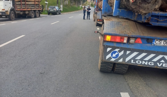 Polițiștii cărășeni au confiscat peste 175 de metri cubi de material lemnos în urma controalelor din județ Polițiștii cărășeni au confiscat peste 175 de metri cubi de material lemnos în urma controalelor din județ