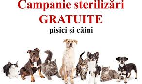 Campanie de sterilizare gratuită, câini şi pisici la Reşiţa în acest sfârşit de săptămână. Programările se fac doar prin sms! Campanie de sterilizare gratuită, câini şi pisici la Reşiţa în acest sfârşit de săptămână. Programările se fac doar prin sms!
