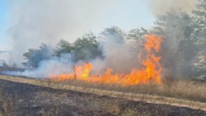 Tren cu produse petroliere, în pericol din cauza unui incendiu de vegetaţie din Armeniş