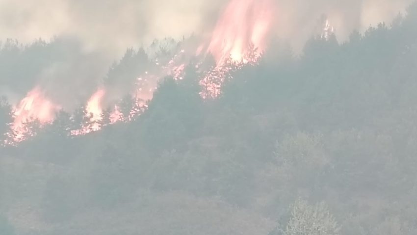Pompierii cărăşeni continuă lupta cu flăcările. Se aşteaptă intervenţia avionului Spartan Pompierii cărăşeni continuă lupta cu flăcările. Se aşteaptă intervenţia avionului Spartan
