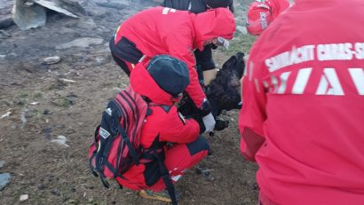 Sfârşit tragic pentru un cioban aflat la stână