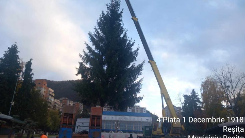 Se apropie sărbătorile: La Reşiţa au fost amplasaţi brazii de Crăciun şi se montează patinoarul Se apropie sărbătorile: La Reşiţa au fost amplasaţi brazii de Crăciun şi se montează patinoarul