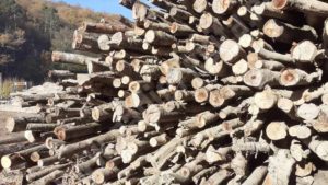 Lemne de foc suficiente în Caraș-Severin, în toamna 2026: stoc de 11.600 de metri cubi și prețuri de la 244 de lei