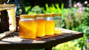 Culesul apicol din Banat, serios afectat de vremea capricioasă