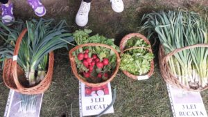 Grădina din școală: Serele unui liceu din Oravița oferă primele legume românești din 2025