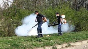 Acţiuni pentru combaterea căpușelor la Timișoara. DSP avertizează, primăria intervine