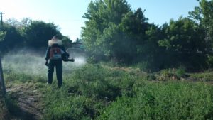 Acțiuni de dezinsecție în Arad: Tratamente terestre împotriva ţânțarilor și căpușelor