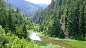 ANMAP – O nouă agenție de mediu în urma comasării a două instituții: ANPM și Agenția Națională pentru Arii Naturale Protejate