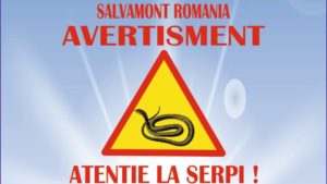 Drumeții în Munții Banatului: atenție la vipere și animale sălbatice