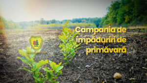 Viitor verde pentru Caraș-Severin: peste 700 hectare regenerate în cadrul campaniei de împăduriri de primăvară